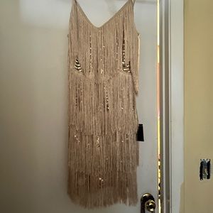Get in the Groove Champagne Sequin Fringe Bodycon Dress